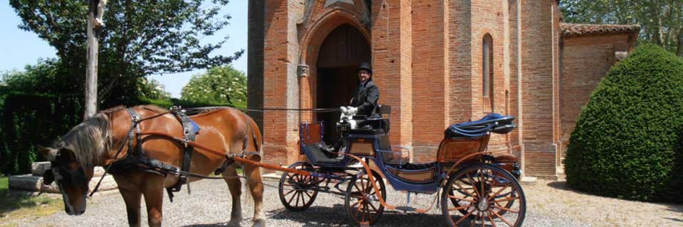 Une calèche et un cheval à votre mariage !