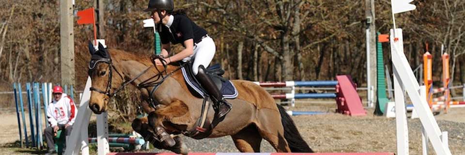 Les disciplines équestres de votre poney-club